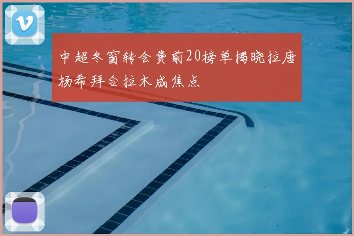 中超冬窗转会费前20榜单揭晓拉唐杨希拜合拉木成焦点