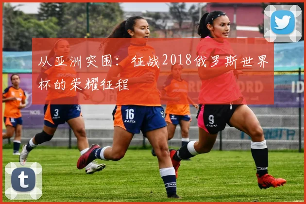 从亚洲突围：征战2018俄罗斯世界杯的荣耀征程