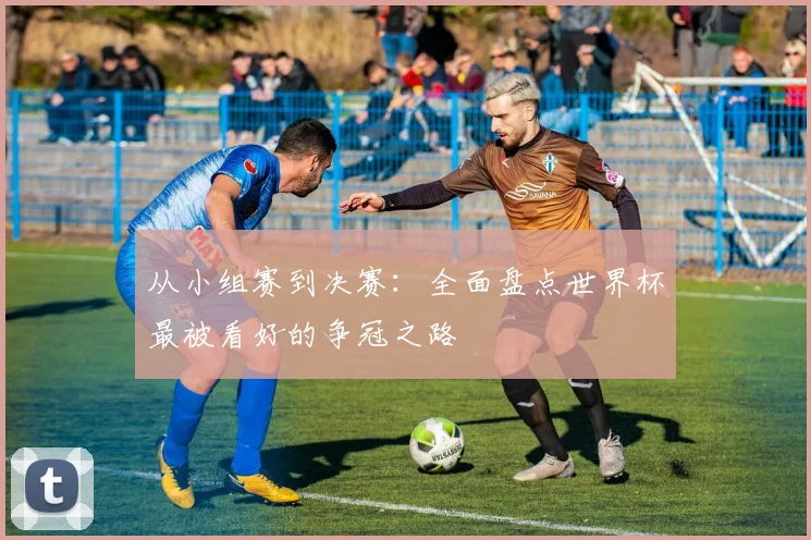 从小组赛到决赛：全面盘点世界杯最被看好的争冠之路