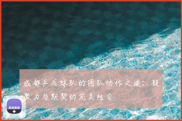 成都乒乓球队的团队协作之道:凝聚力与默契的完美结合