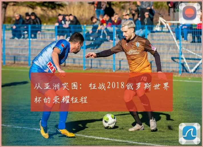 从亚洲突围：征战2018俄罗斯世界杯的荣耀征程