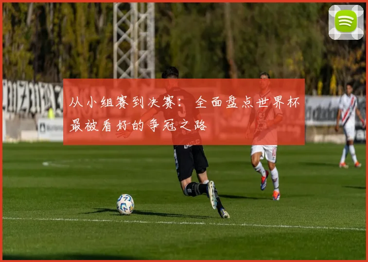 从小组赛到决赛:全面盘点世界杯最被看好的争冠之路