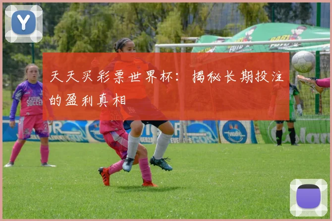 天天买彩票世界杯：揭秘长期投注的盈利真相
