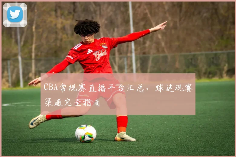 CBA常规赛直播平台汇总，球迷观赛渠道完全指南
