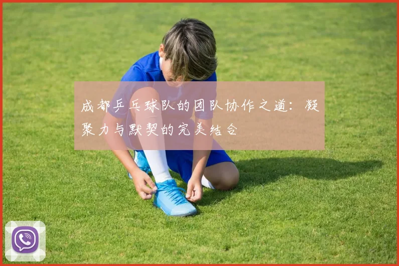 成都乒乓球队的团队协作之道：凝聚力与默契的完美结合