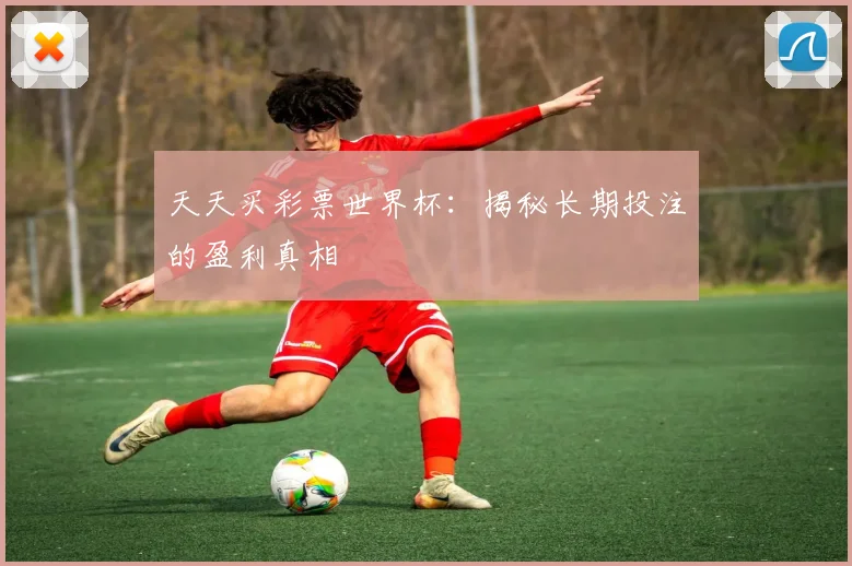 天天买彩票世界杯：揭秘长期投注的盈利真相