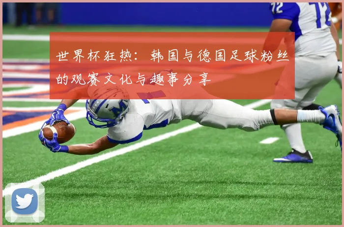 世界杯狂热：韩国与德国足球粉丝的观赛文化与趣事分享