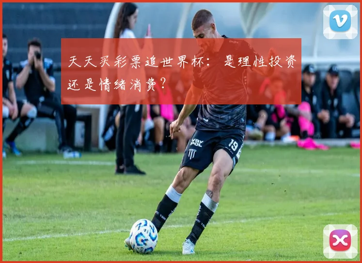 天天买彩票追世界杯：是理性投资还是情绪消费？