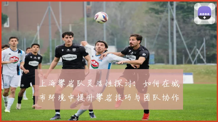 上海攀岩队灵活性探讨:如何在城市环境中提升攀岩技巧与团队协作