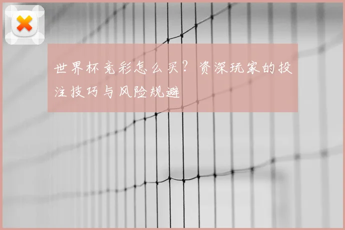 世界杯竞彩怎么买？资深玩家的投注技巧与风险规避