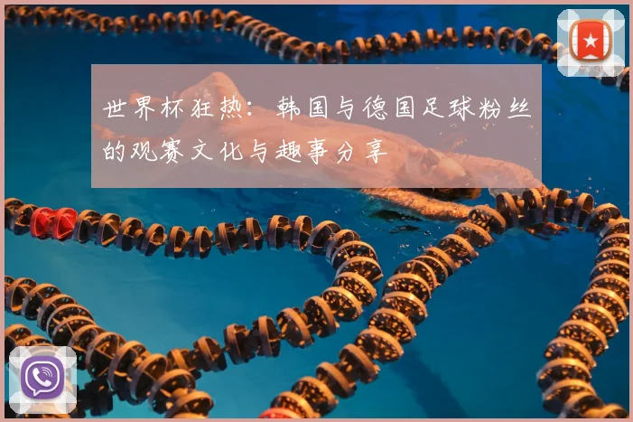 世界杯狂热：韩国与德国足球粉丝的观赛文化与趣事分享